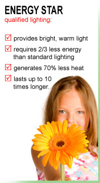 Energy efficient lighting facts