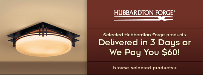 3 Day Delivery or Get $60 on selected Hubbardton Forge products!
