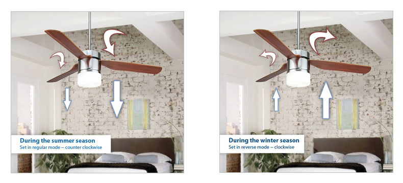 Ceiling Fans for Summer & Winter