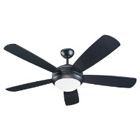 Contemporary fans