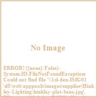 Hinkley lighting platinum seal image