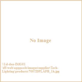 Tech Lighting 700TDPLAP Playa Collection - Pendant