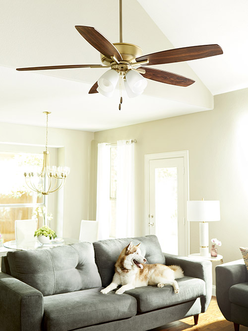 10 Affordable Ceiling Fans Under 250 1StopLighting