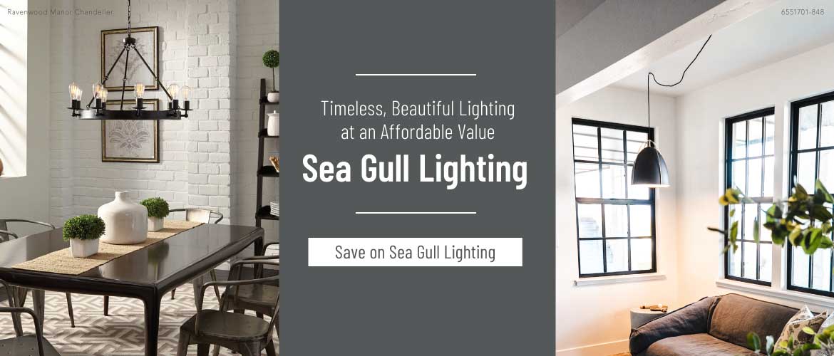 Shop Sea Gull Lighting