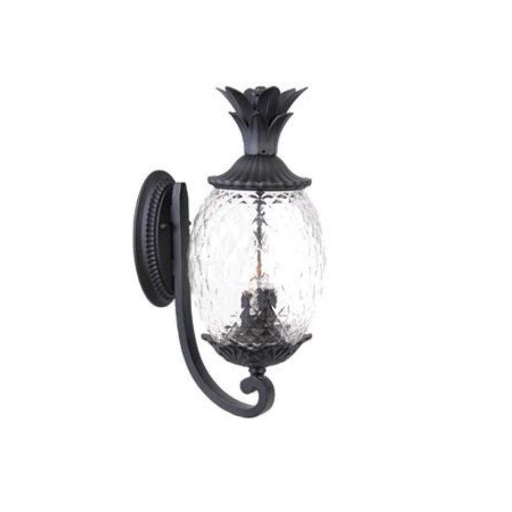 1043204 Acclaim Lighting-7511BK-Lanai - Three Light Outdoo sku 1043204