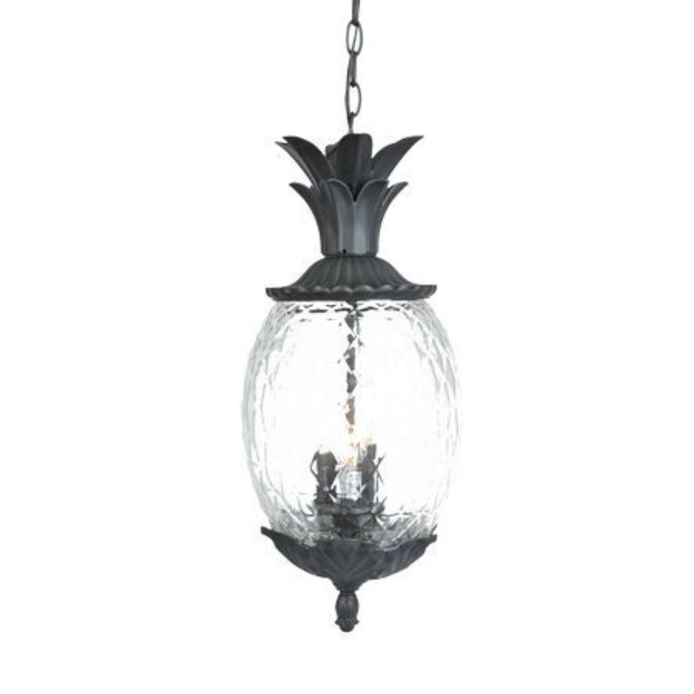 Acclaim Lighting-7516BK-Lanai - Three Light Outdoor Hanging Lantern - 10 Inches Wide by 21 Inches High   Matte Black Finish with Clear Pineapple Glass