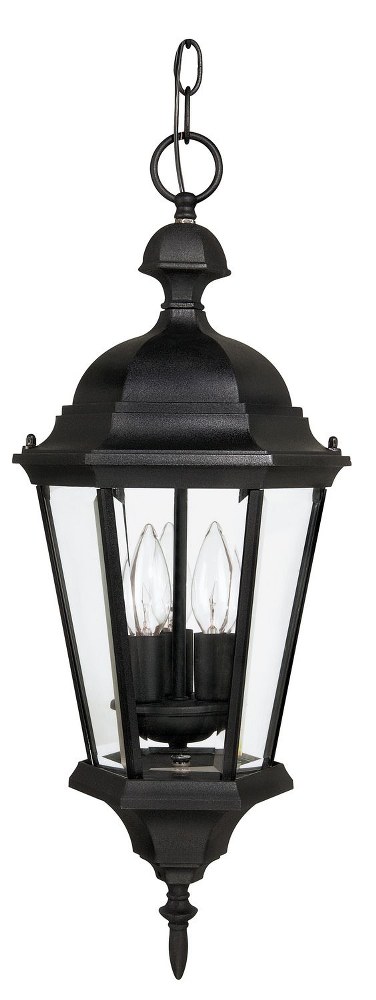 Capital Lighting-9724BK-Carriage House - 3 Light Outdoor Hanging Lantern - in Traditional style - 10 high by 23 wide   Black Finish with Clear Glass