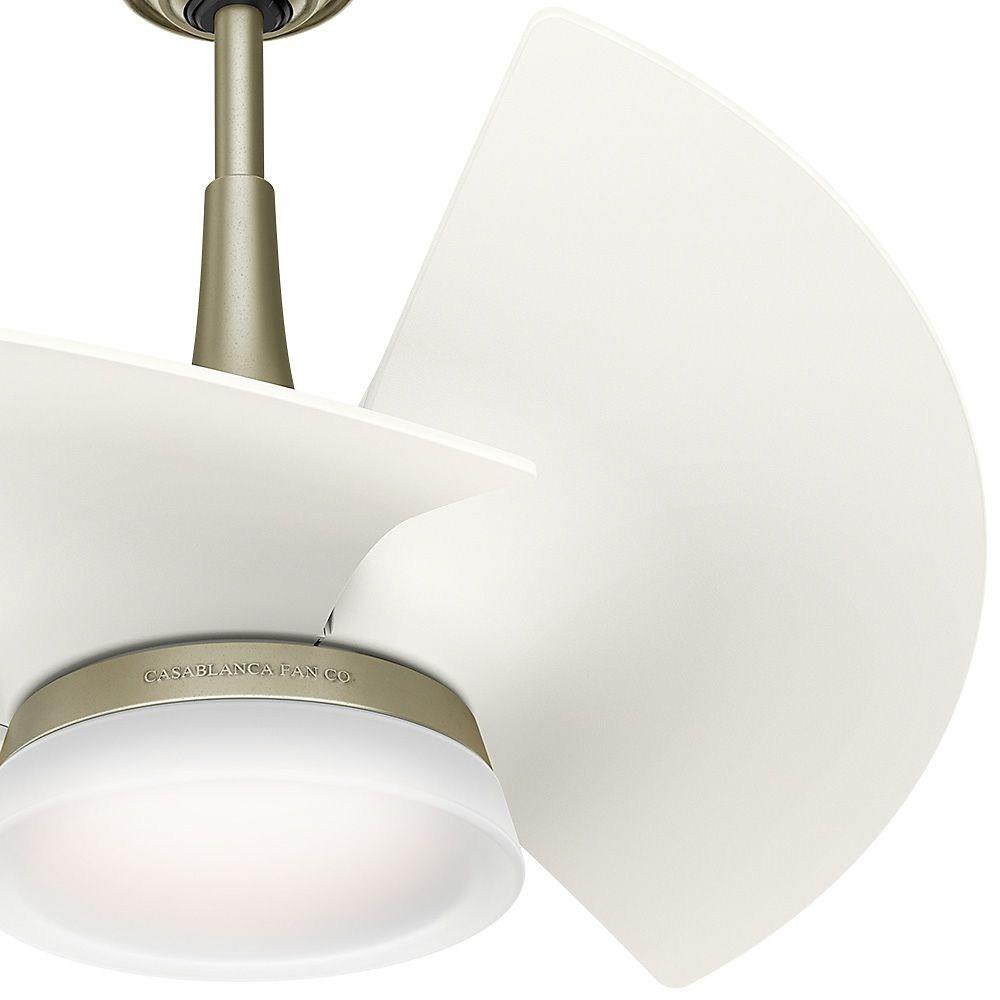 Orchid 30 Ceiling Fan With Light Kit