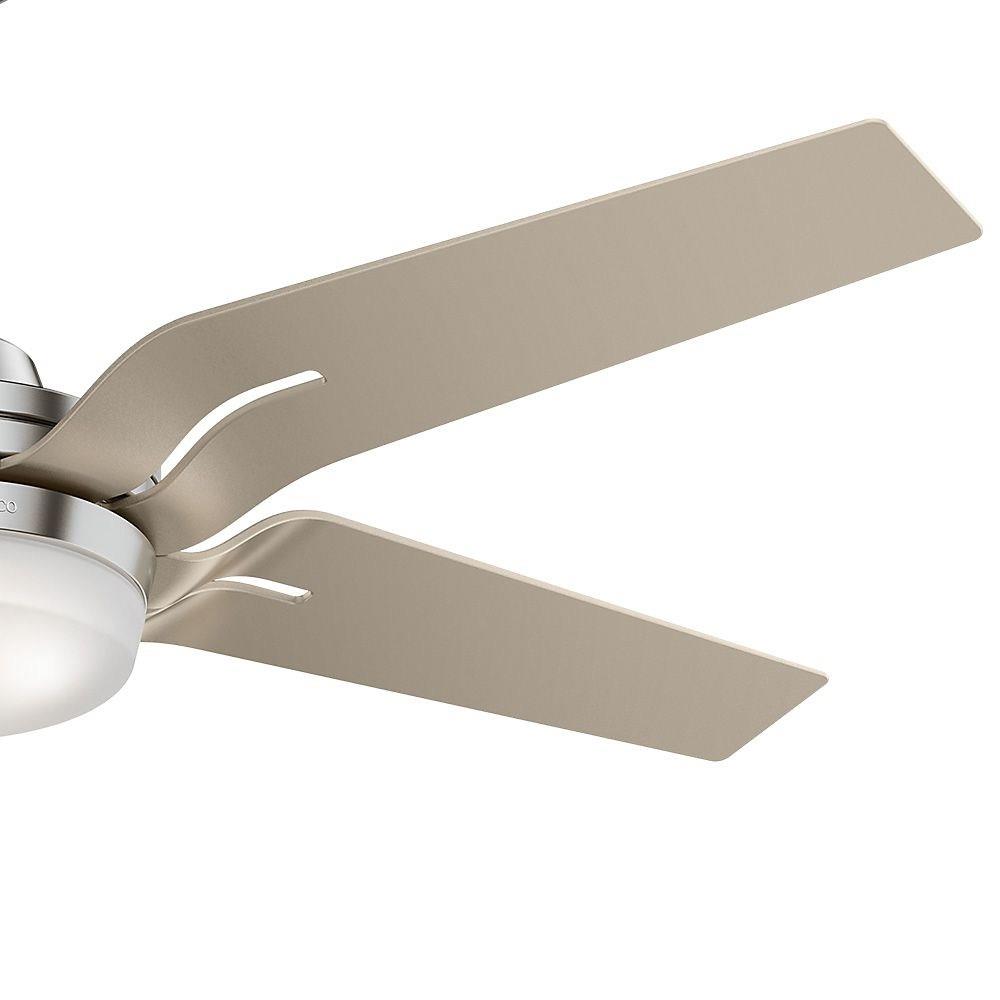 Casablanca Fans 59197correne Correne 56 Ceiling Fan With