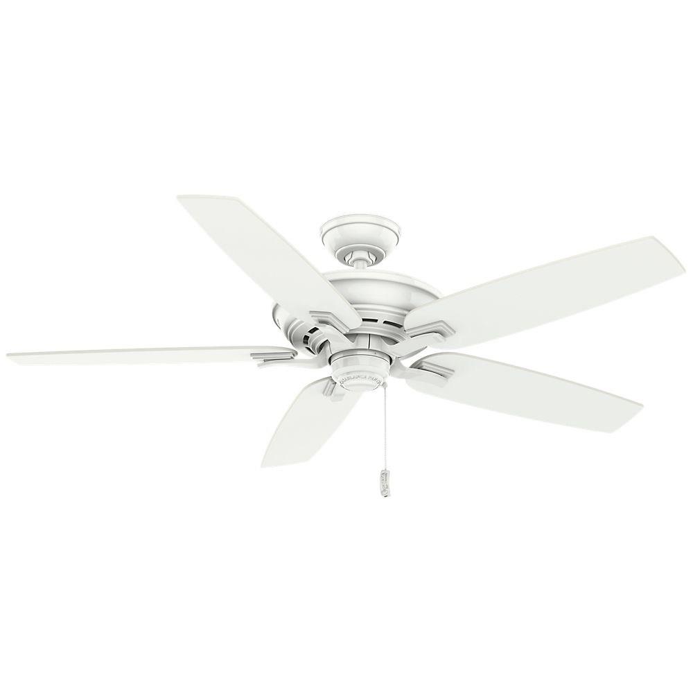 Academy 60 Ceiling Fan