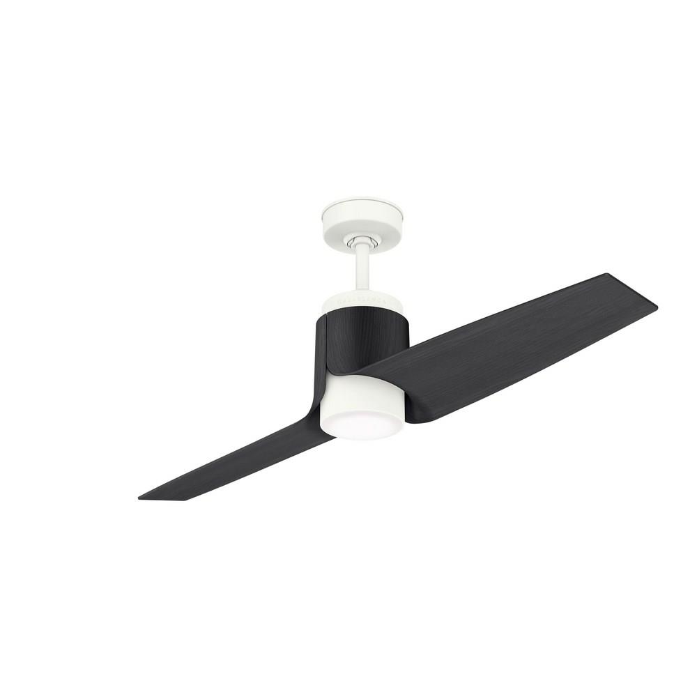 Casablanca Fans 593a Aya 2 Blade 54 Inch Ceiling Fan With With Wall Control