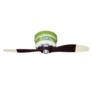 Themed Ceiling Fans