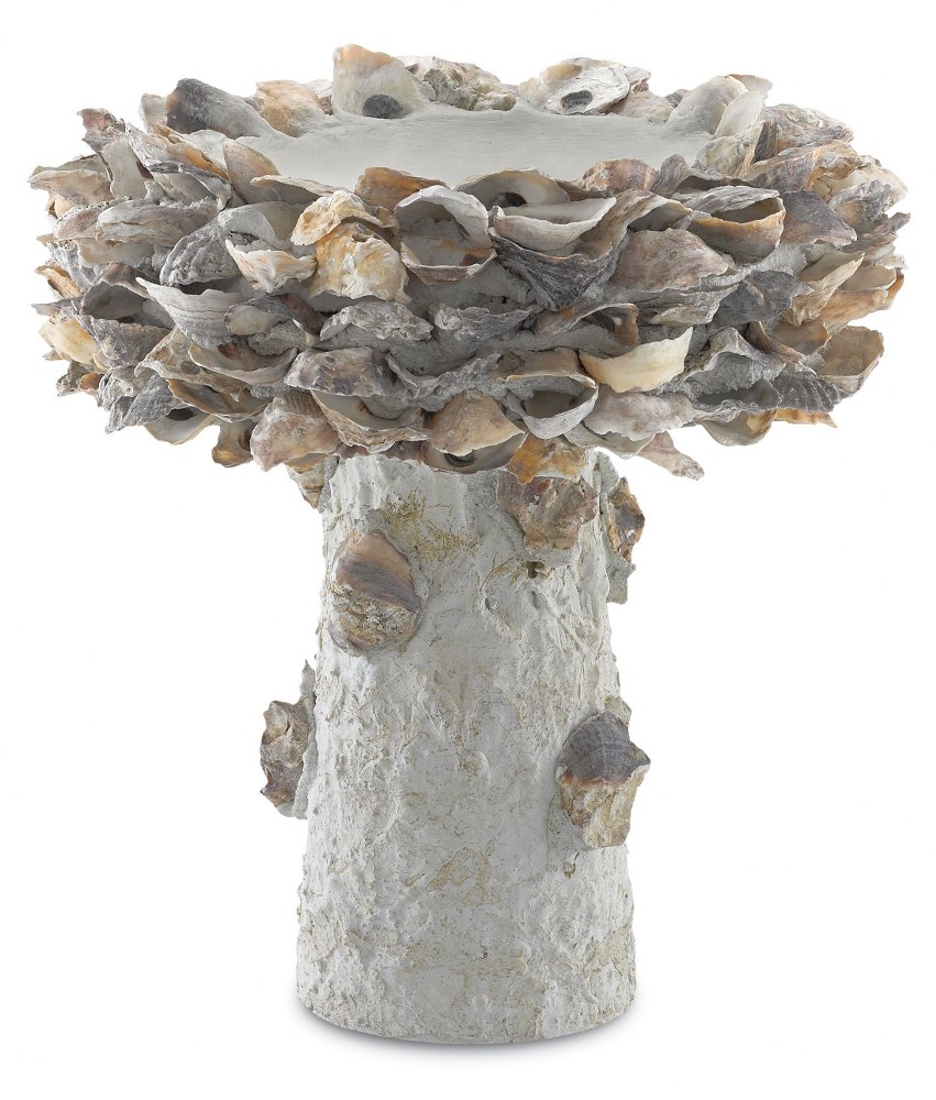 Currey and Company-1200-0052-Oyster Shell - 14 Inch Small Bird Bath   Natural Finish