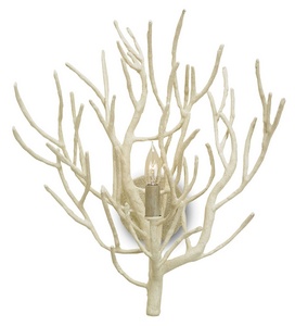 Currey and Company-5158-Eventide - 1 Light Wall Sconce   White Coral Finish