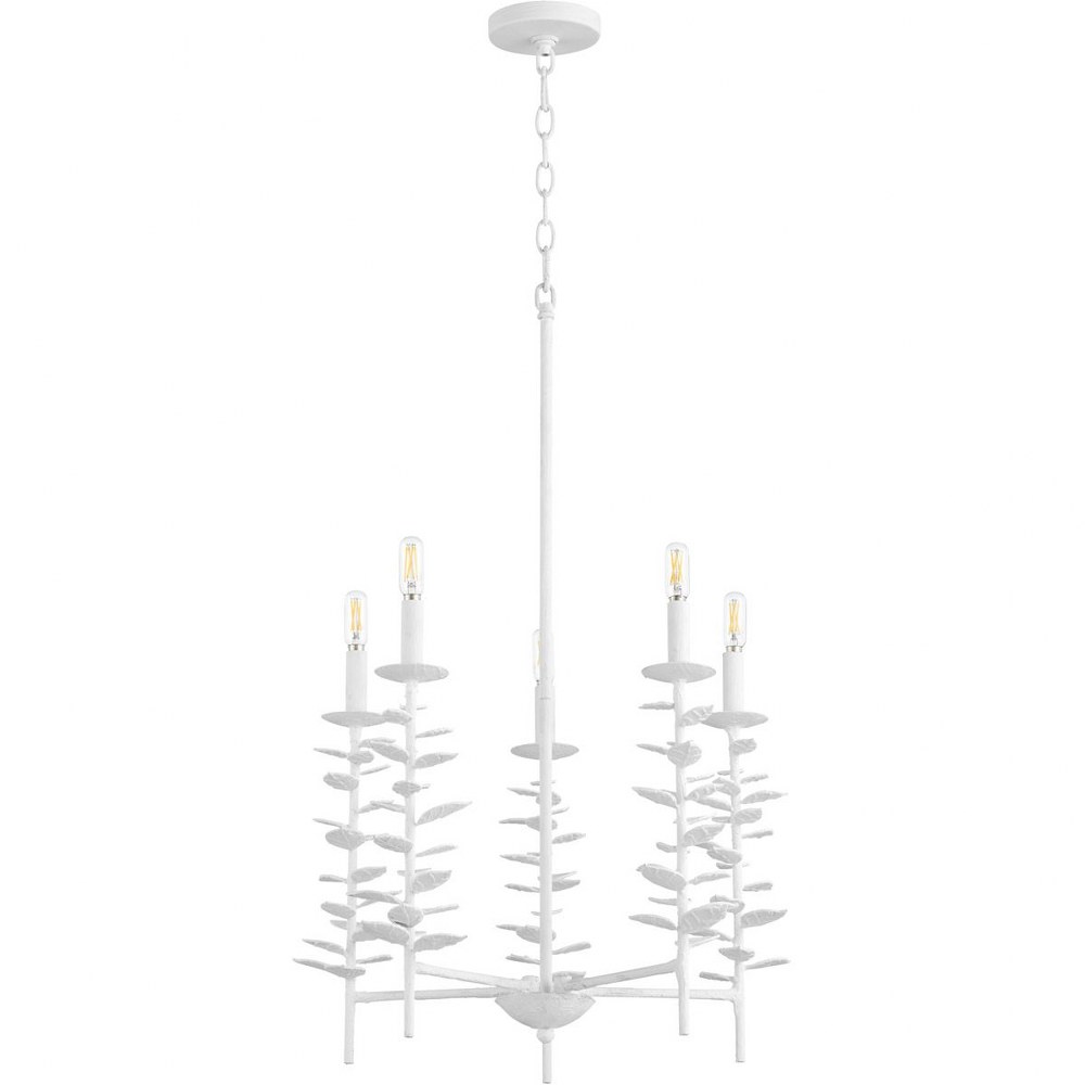 Cyan lighting-10973-Barnaby - 5 Light Chandelier - 22 Inches Wide by 17 Inches High White  White Finish