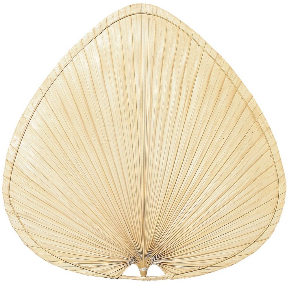 Fanimation Fans-BMP1-Accessory - 2 - 22 Inch Brewmaster Wide Oval Natural Palm Blades   Natural Palm Finish