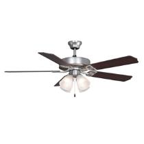 Traditional Fans