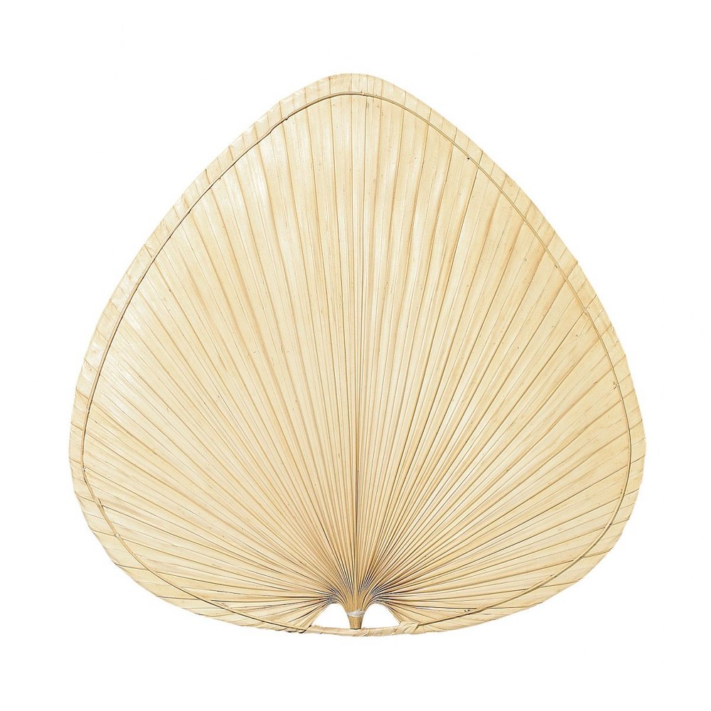 Fanimation Fans-PAP1-Accessory - 8 - 22 Inch Palisade Wide Oval Palm Blades   Natural Palm Finish