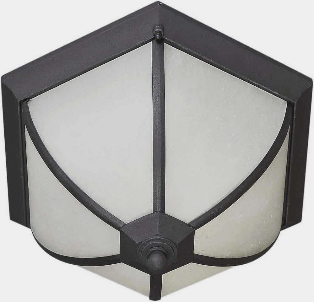 Forte Lighting-17007-02-04-Ty - 2 Light Outdoor Flush Mount-8.5 Inches Tall and 14.5 Inches Wide   Black Finish with Frosted Seeded Glass
