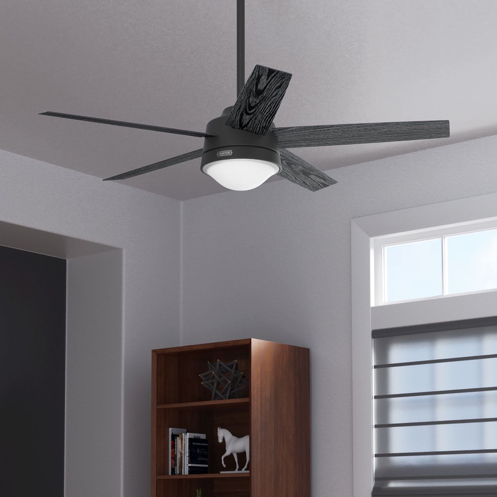 Hunter Fans - 166_5157-143952 - Lykke 
