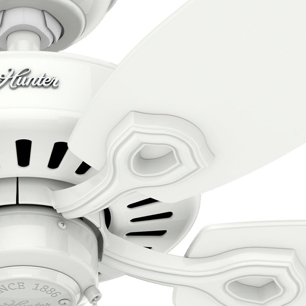 Hunter Fans - 53240 - Builder 52 Inch 