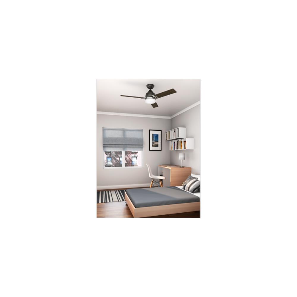 Hunter Fans 59219leoni Leoni 48 Ceiling Fan With Light Kit Tap To Expand