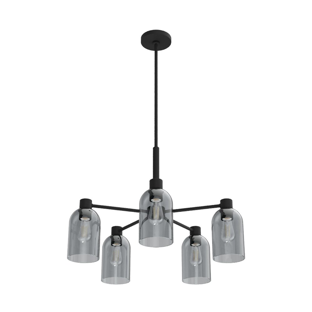 Hunter Fans-19198-Lochemeade 5-Light Chandelier in Modern Style-26 Inches Wide by 19 Inches High Natural Iron  Brushed Nickel Finish with Seeded Glass