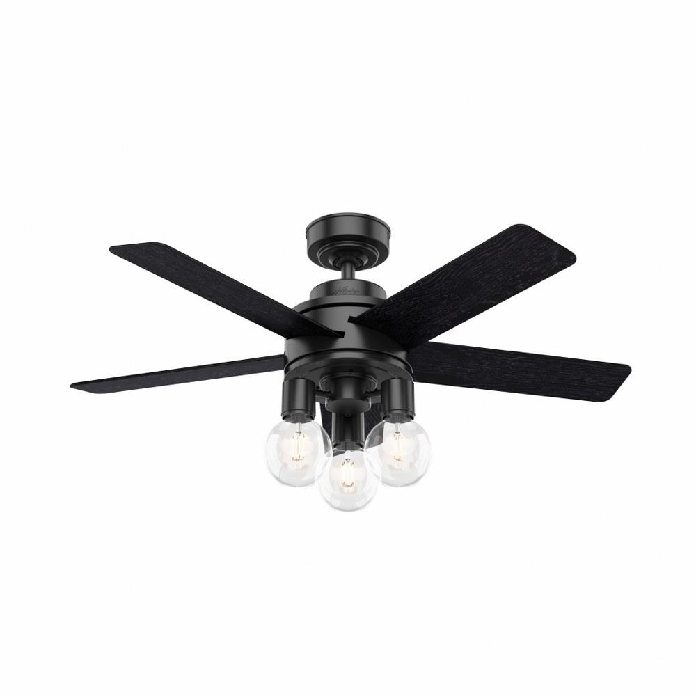 Hunter Fans 5132 Hardwick 44 Inch Ceiling Fan With Light Kit And Remote Control