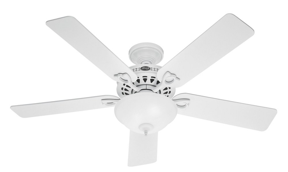 Hunter Fans-53059-Astoria 52 Inch Ceiling Fan with LED Light Kit and Pull Chain White  White Finish with Light Oak/White Blade Finish with Frosted Glass