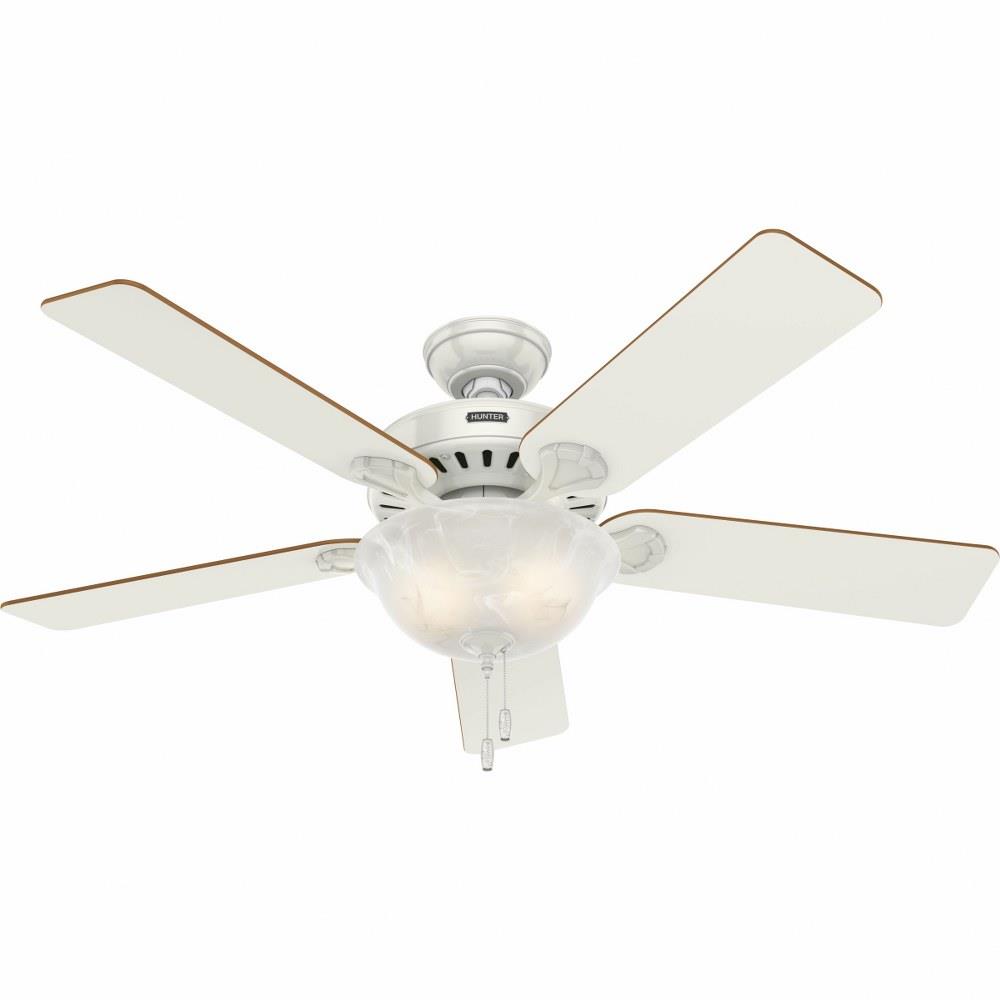 Hunter Fans 53251 Pros Best Five Minute 52 Ceiling Fan
