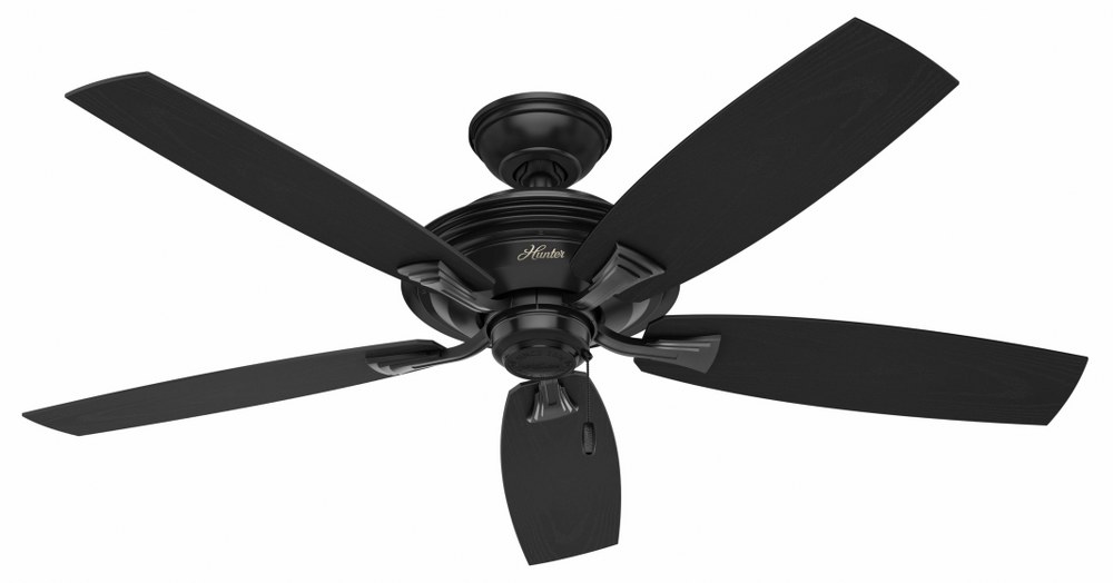 Hunter Fans-53348-Rainsford-Outdoor Ceiling Fan-52 Inches Wide by 12.8 Inches High   Matte Black Finish with Matte Black Blade Finish