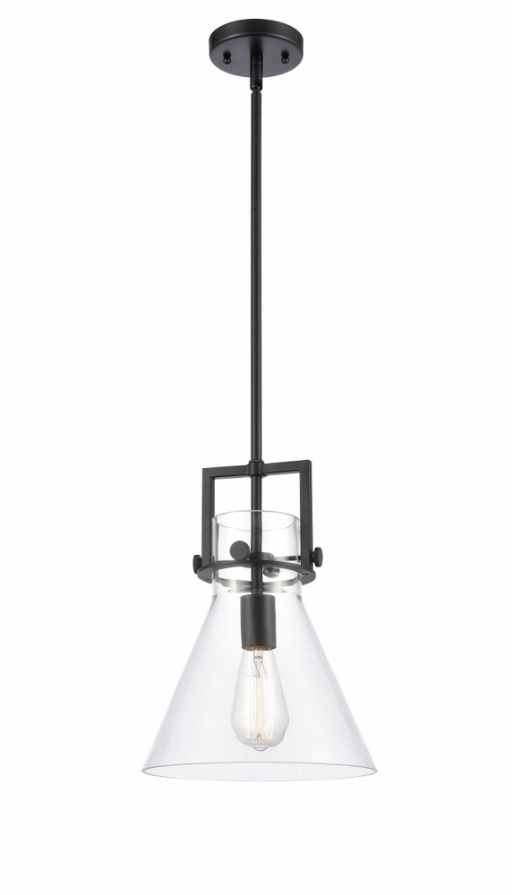 Innovations Lighting-411-1S-BK-10CL-LED-Newton-One Light Mini Pendant-14 Inches Wide by 17 Inches High   Matte Black Finish