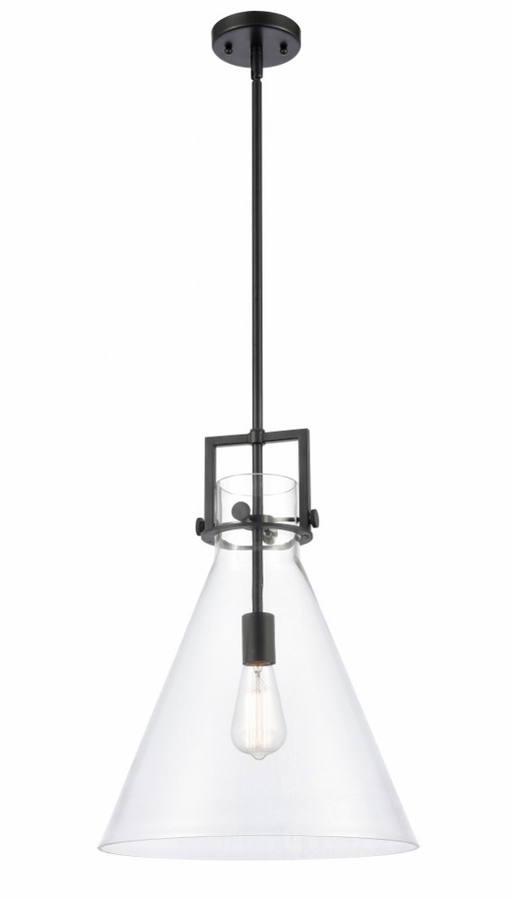 Innovations Lighting-411-1S-BK-14CL-LED-Newton-One Light Mini Pendant-14 Inches Wide by 17 Inches High   Matte Black Finish