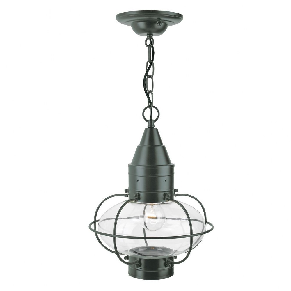 Norwell Lighting-1508-GM-CL-Classic Onion - 1 Light Medium Outdoor Hanging Pendant In Traditional and Classic Style-15 Inches Tall and 11.375 Inches Wide Gunmetal Clear Black Finish