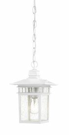 Nuvo Lighting-60/4954-Cove Neck-Outdoor Hanging-7 Inches Wide by 12 Inches High   Cove Neck - 1 Light - 12 Outdoor Hanging - White w/ Clear Seeded Glass