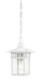 1028180 Nuvo Lighting-60/4954-Cove Neck-Outdoor Hanging-7  sku 1028180