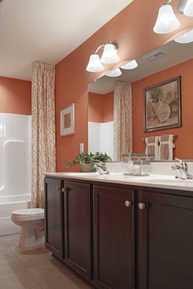 Progress Lighting P2005-09 Bravo - 2 Light in Modern style - 17 Inches wide by - Picture 2 of 5