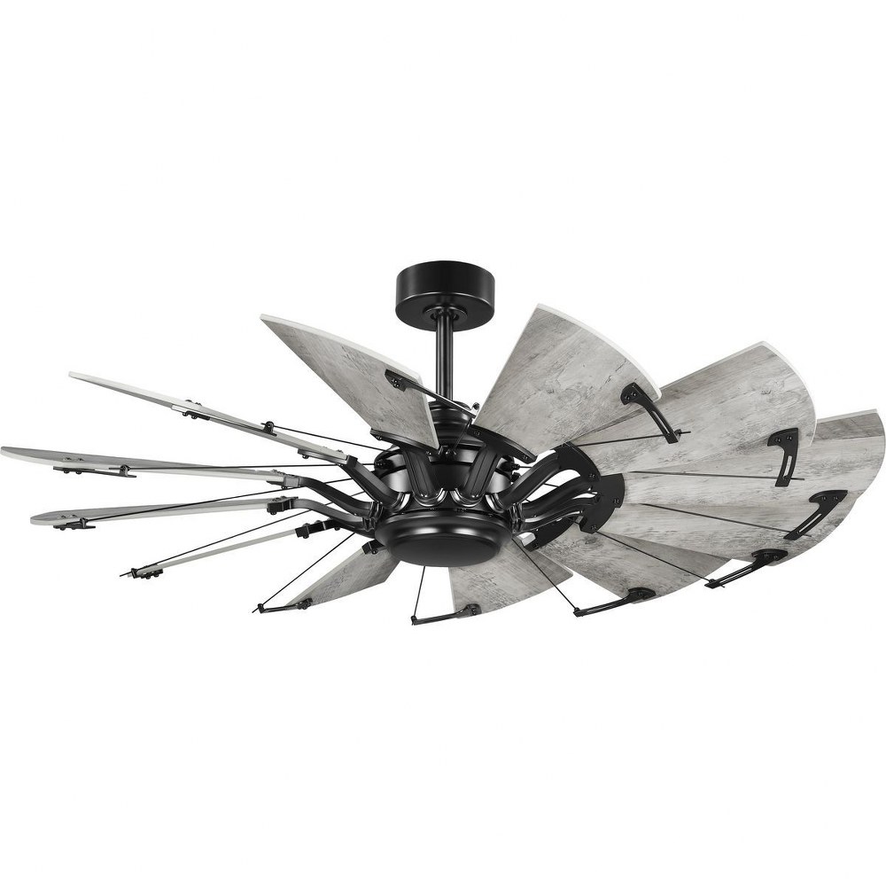 4541270 Progress Lighting-P250065-31M-Springer - 52 Inch 1 sku 4541270