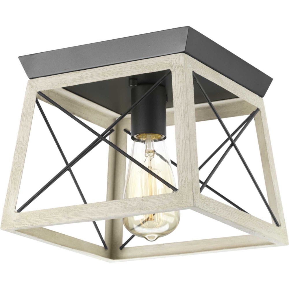 2560844 Progress Lighting-P350022-143-Briarwood - 1 Light  sku 2560844