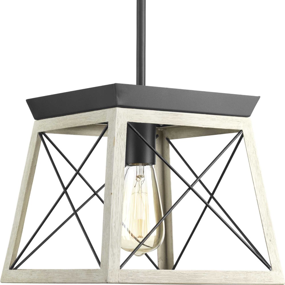 Progress Lighting-P500041-143-Briarwood - 1 Light Mini Pendant in Coastal style - 10 Inches wide by 9 Inches high Graphite  Graphite Finish with Whitewashed Frame Finish