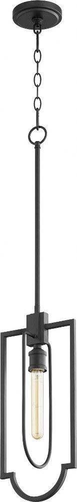 Quorum Lighting-3102-69-1 Light Pendant in Traditional style - 8 inches wide by 18.5 inches high   Noir Finish