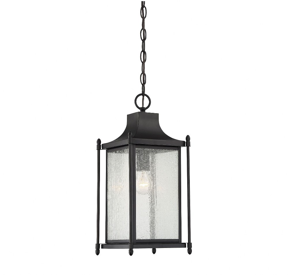 Savoy House-5-3455-BK-1 Light Outdoor Hanging Lantern-Transitional Style with Modern Farmhouse and Contemporary Inspirations-18.75 inches tall by 8 inches wide   Black Finish with Clear Glass