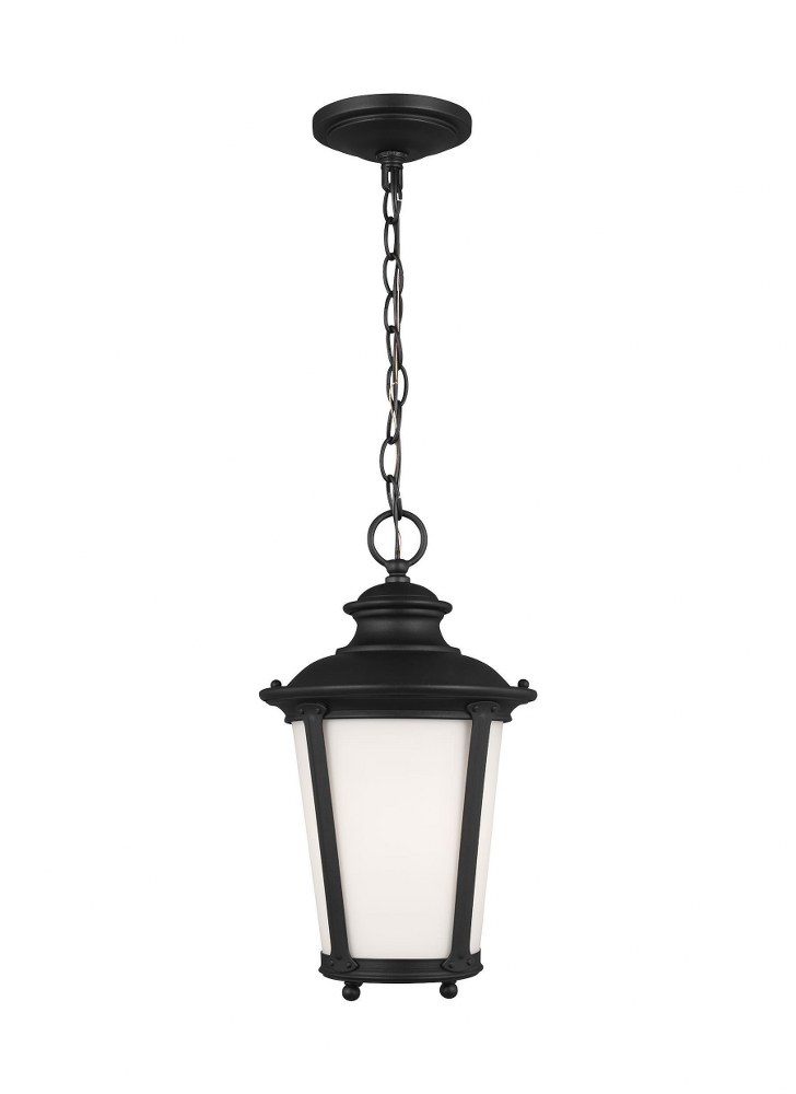 Sea Gull Lighting-62240-12-Cape May - 1 Light Outdoor Pendant in Traditional Style - 9 inches wide by 15.75 inches high Black Incandescent Black Finish with Etched/White Glass