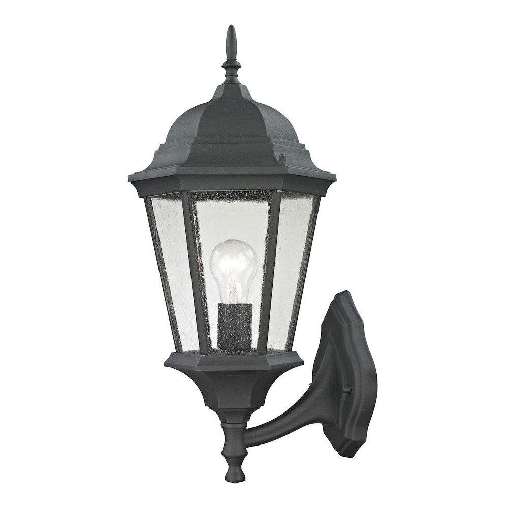 Thomas Lighting-8111EW/65-Temple Hill - 1 Light Large Outdoor Coach Lantern   Matte Textured Black Finish with Clear Seeded Glass