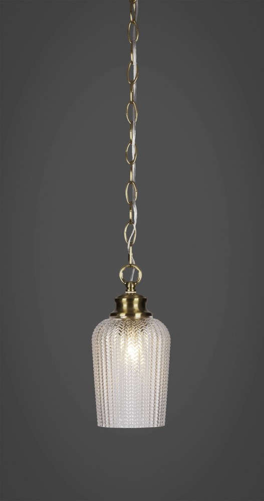 Toltec Lighting-92-NAB-4250-Cordova-1 Light Chain Hung Pendant-5 Inches Wide by 10.25 Inches High   New Age Brass Finish with Clear Textured Glass
