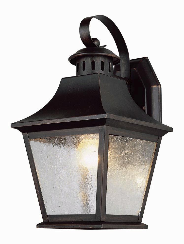 Trans Globe Lighting-4872 AN-Classic - One Light Outdoor Medium Wall Bracket Antique Nickel  Rubbed Oil Bronze Finish with Seeded Glass