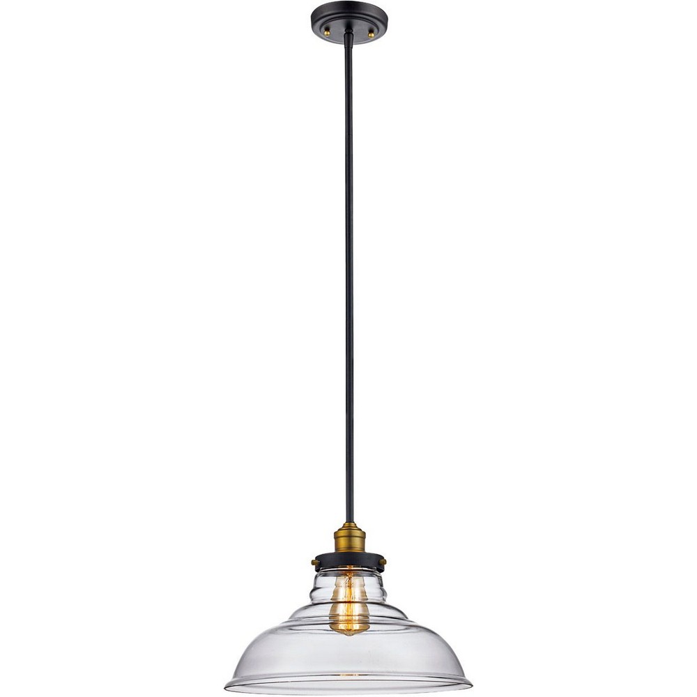 Trans Globe Lighting-70824 ROB-Jackson - 13.5 Inch One Light Pendant   Jackson - 13.5 Inch One Light Pendant