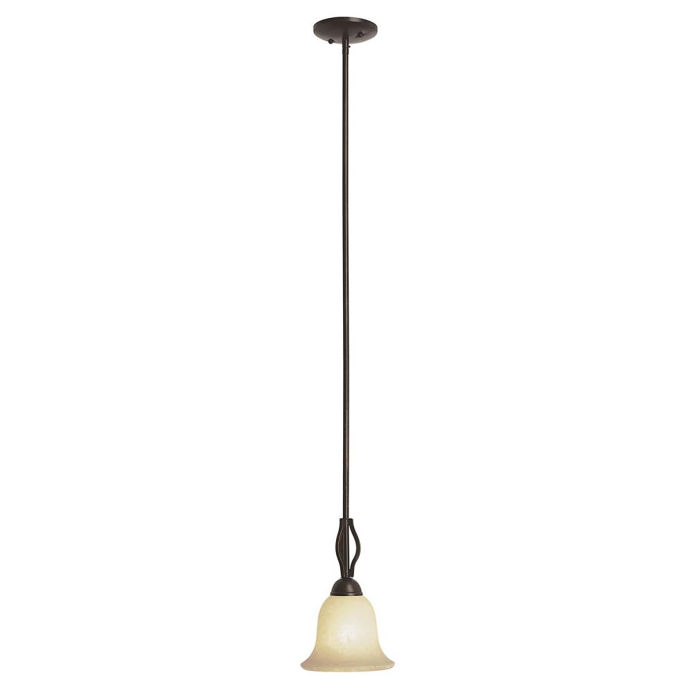 Trans Globe Lighting-PL-8164 BN-Farmhouse - One Light Drop Mini-Pendant   Brushed Nickel Finish with Frosted Glass