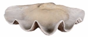 Uttermost-19800-Clam - 22.88 inch Shell Bowl - 22.88 inches wide by 13.38 inches deep   Antique White Finish