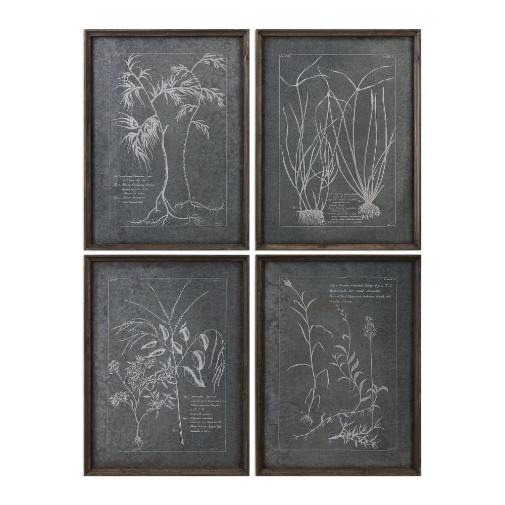 Uttermost-32537-Root Study - 23.88 inch Print Art (Set of 4) - 17.88 inches wide by 1.13 inches deep   Natural Brown Finish